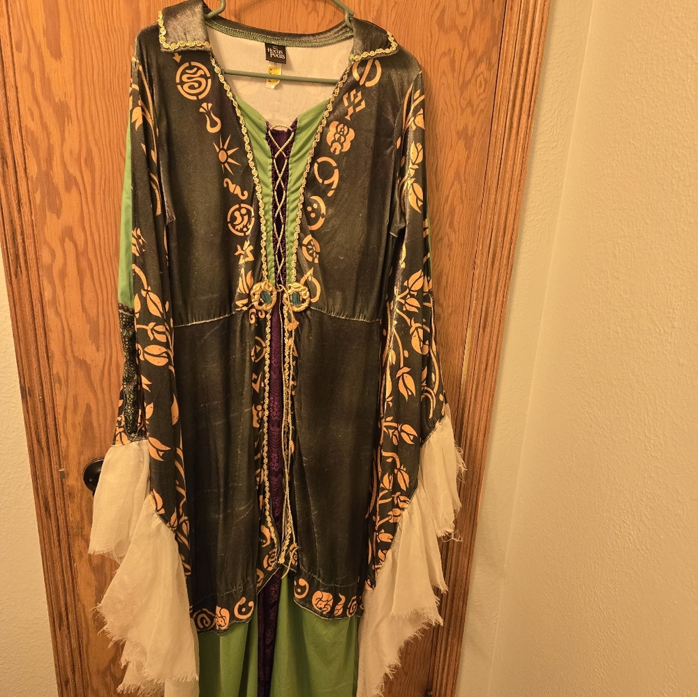 Medium Winnifred Sanderson Costume